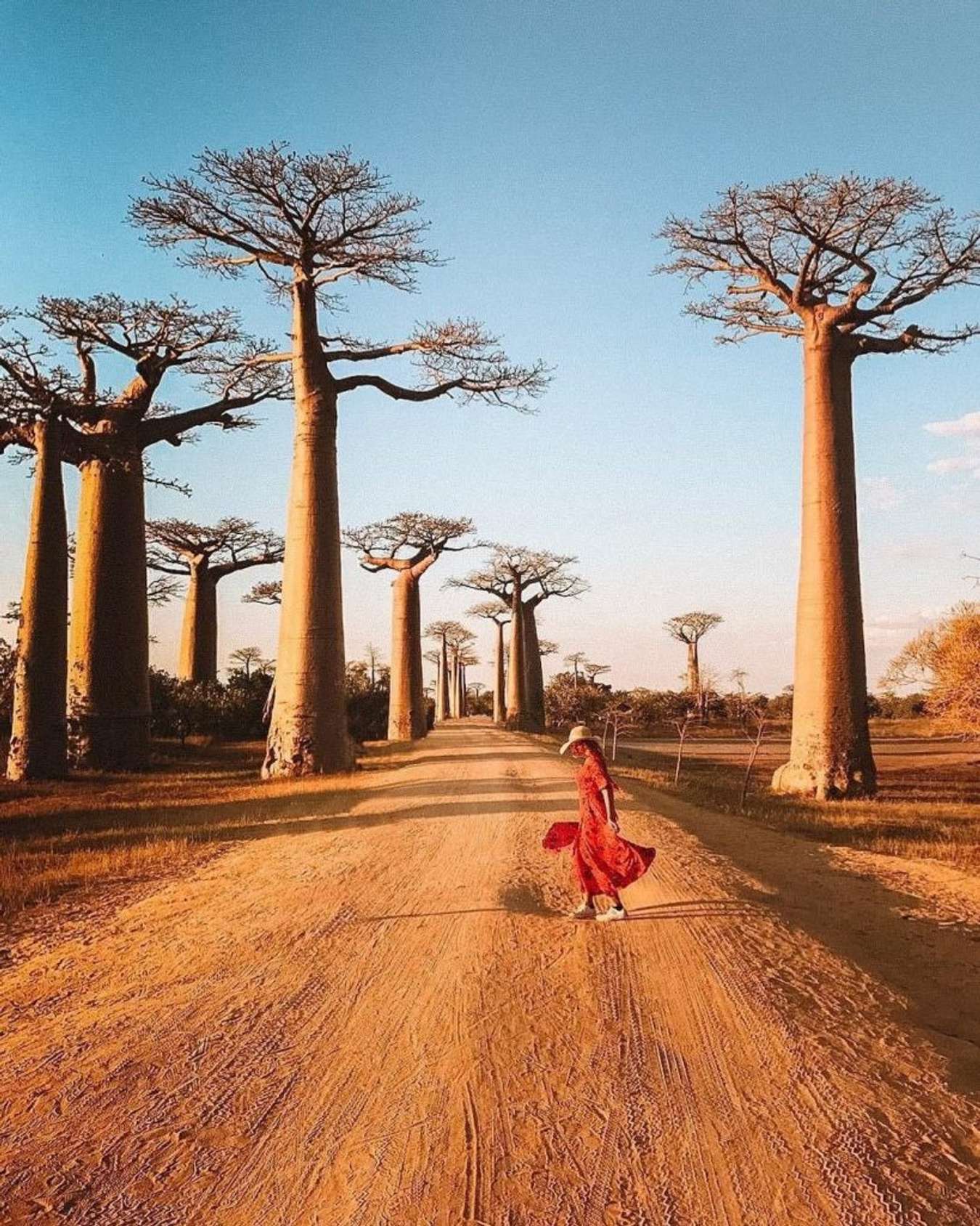 Kinh nghiệm du lịch Madagascar, ngắm miền hoang dã nhất trên thế giới Kinh Nghiệm Du Lịch Madagascar, Ngắm Miền Hoang Dã Nhất Trên Thế Giới