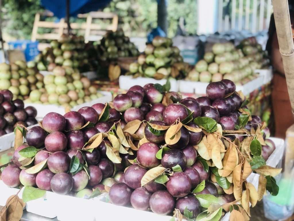 Du lịch Ẩm thực Đặc sản miền Tây Sóc Trăng liên hệ 0915326788 https://mientaynet.com/netnguoimientay/