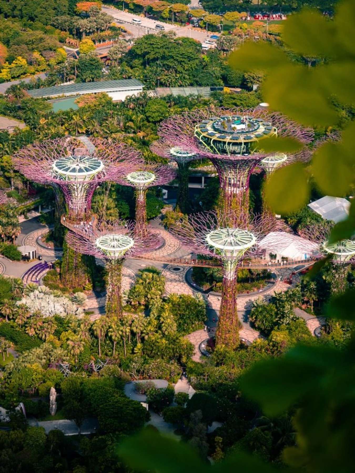 Siêu cây tại Gardens by the Bay