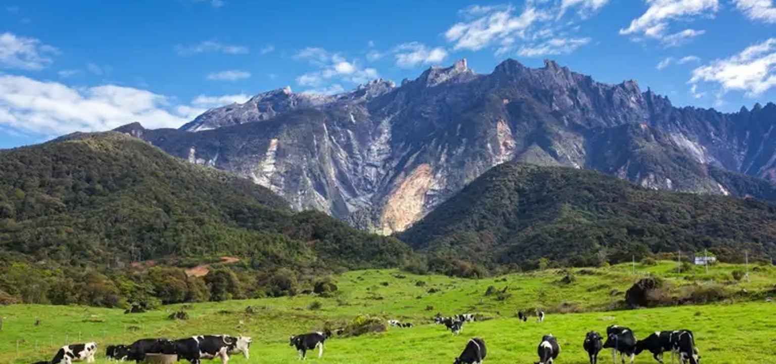 kundasang 1 day trip