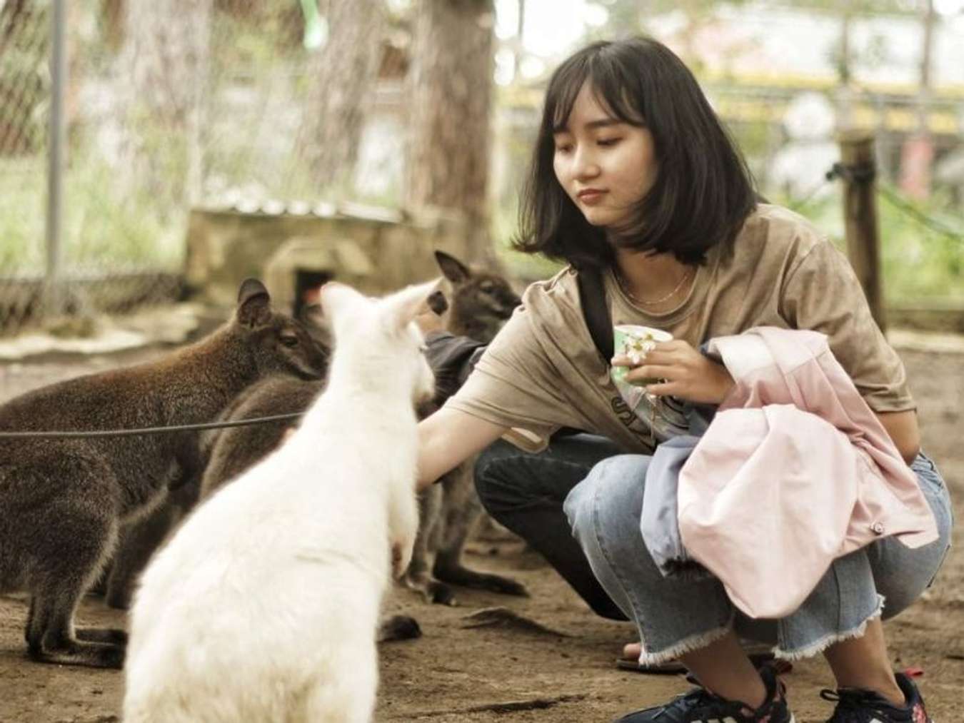 tour zoodoo đà lạt 