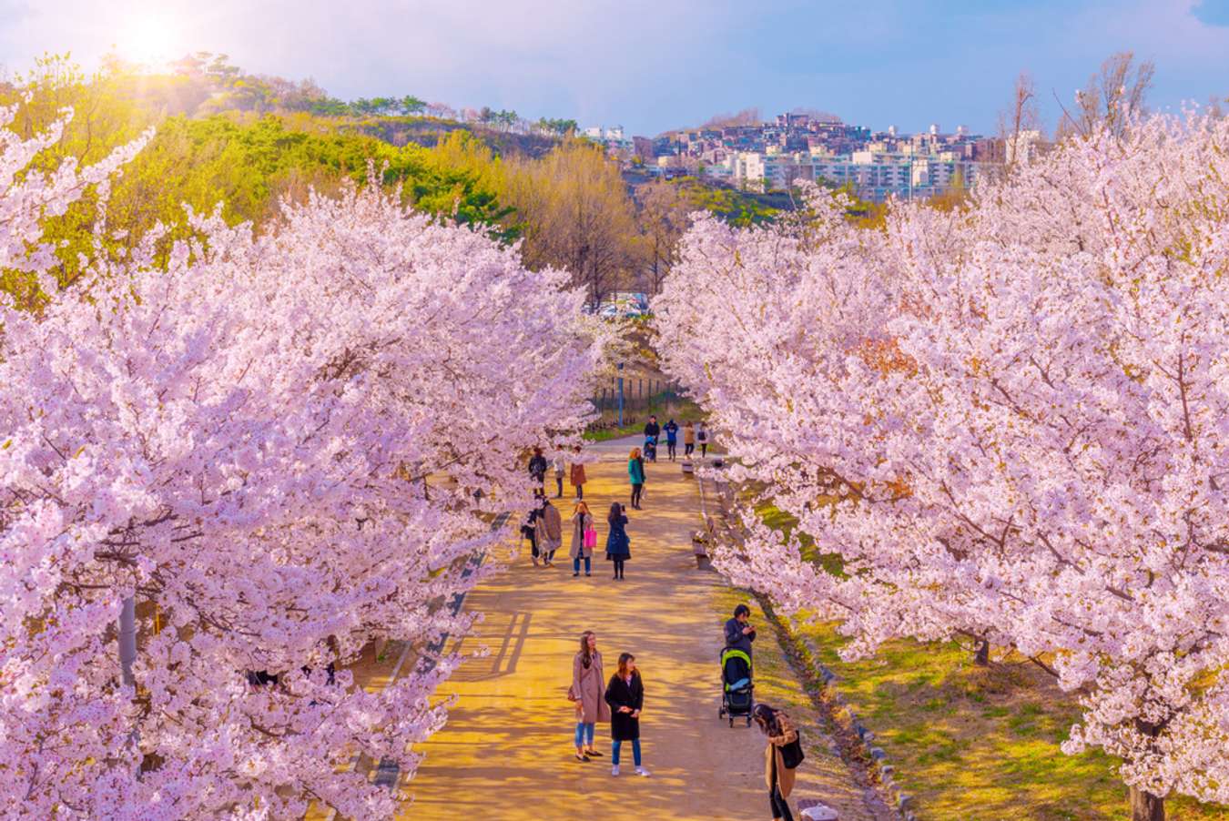 15 มุมถ่ายรูปสวยทั่วเกาหลี ทรืปหน้าต้องไปตาม 15 มุมถ่ายรูปสวยทั่วเกาหลี ทรืปหน้าต้องไปตาม