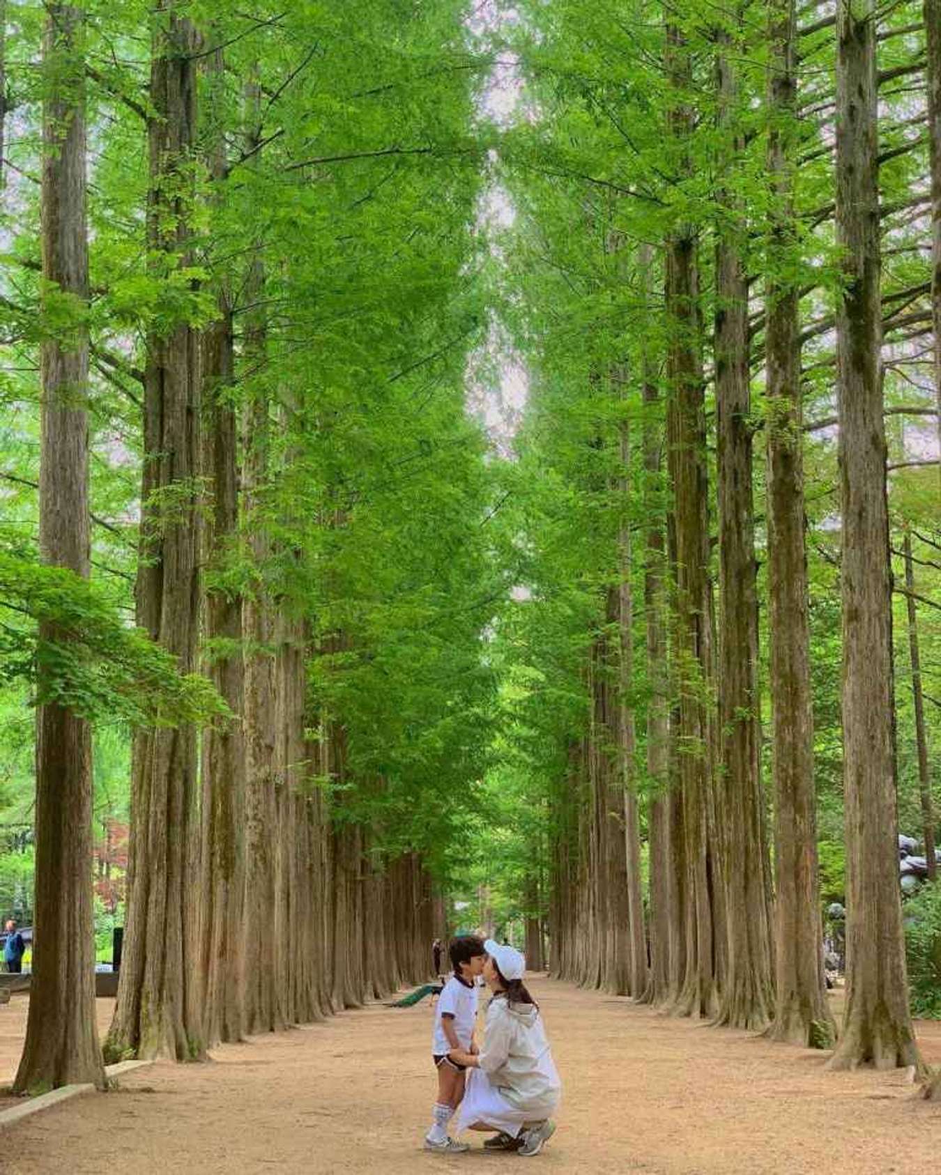 Nami Island - Trip To Korea