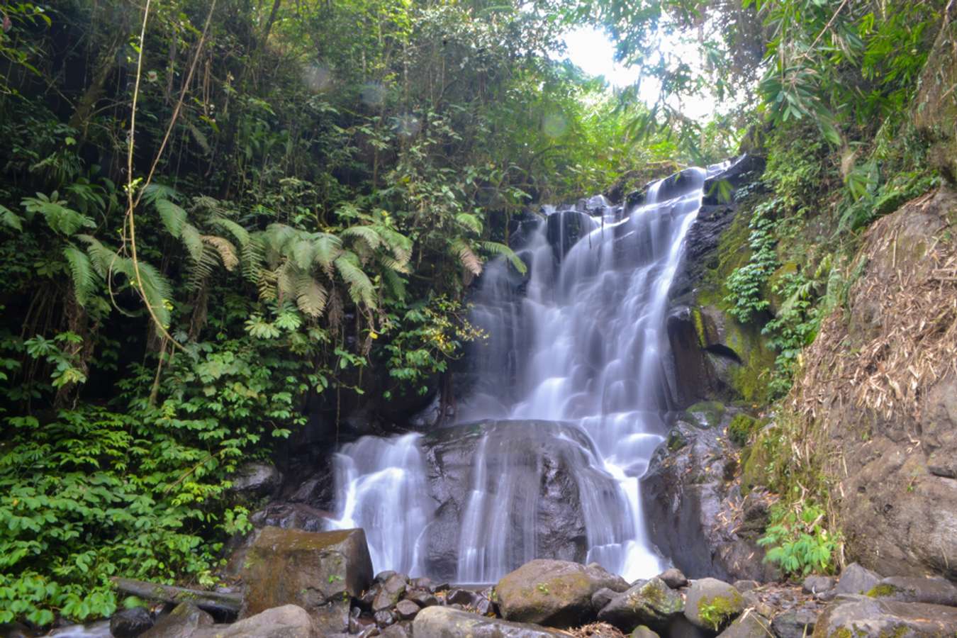 Wisata Ponorogo - Air Terjun Coban Lawe