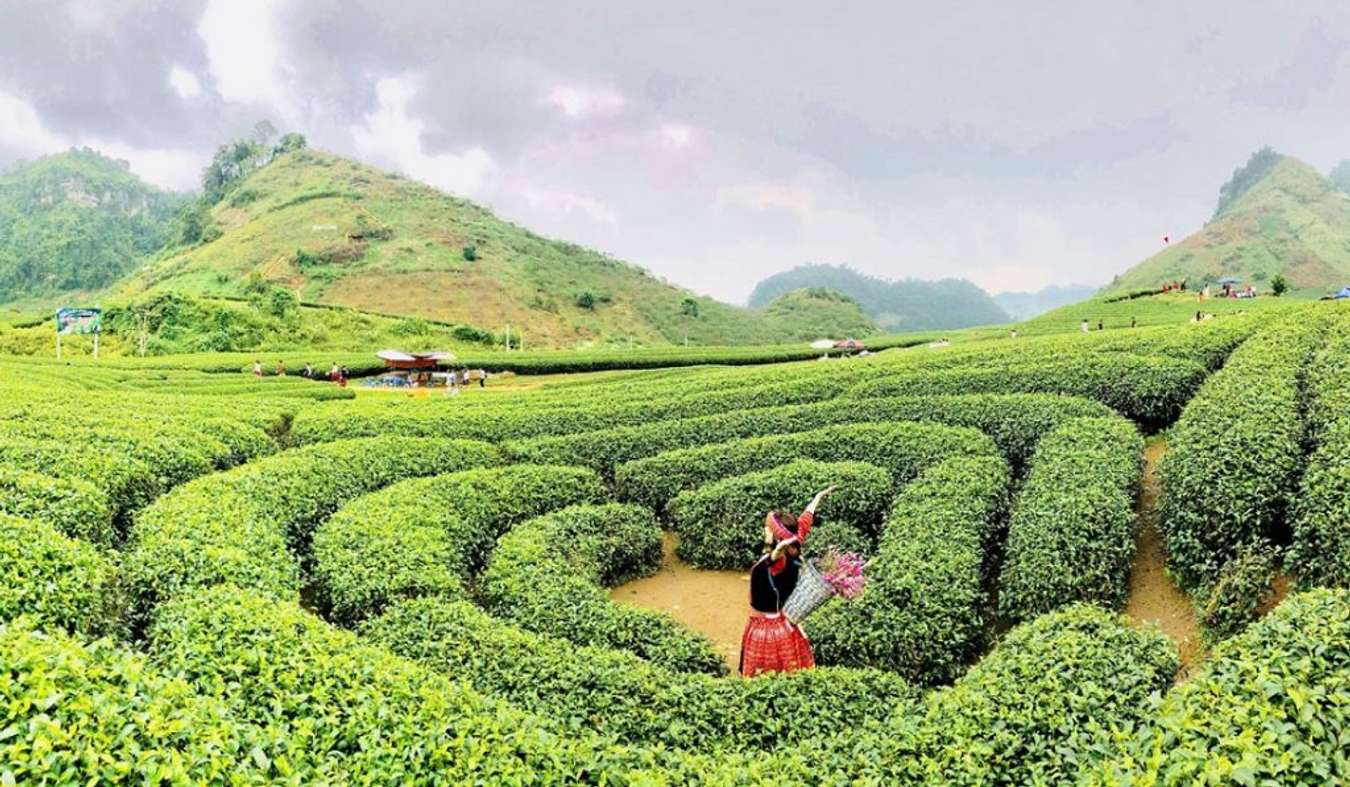 TOP 10 địa điểm du lịch Mộc Châu đi là “không muốn về” cho bạn