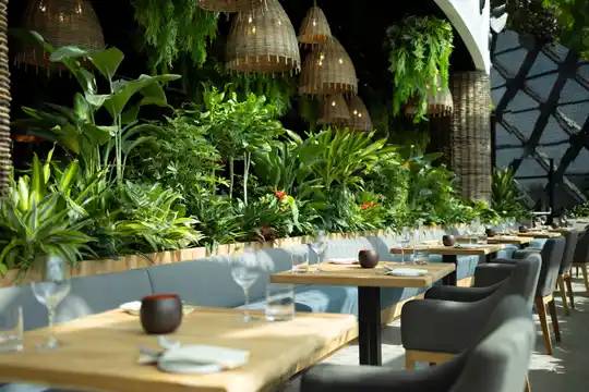 Dusit Thani Laguna Singapore - Hotel Restaurant Singapore