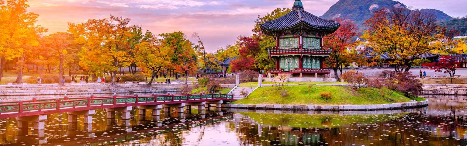 Mùa thu Hàn Quốc được chào đón bởi những cảnh quan đầy màu sắc và romantically trong trẻo. Hãy tận hưởng không khí se se lạnh của mùa thu cùng với những bức ảnh tuyệt đẹp về những cánh đồng hoa vàng rực rỡ tại Hàn Quốc.