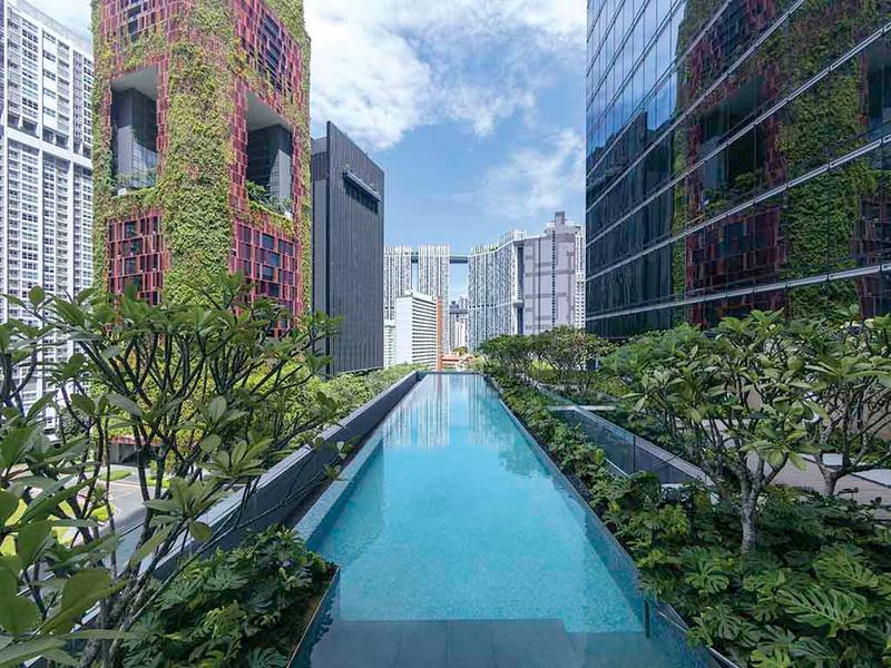 Sofitel Singapore City Centre - Best Hotels with Swimming Pool in Singapore