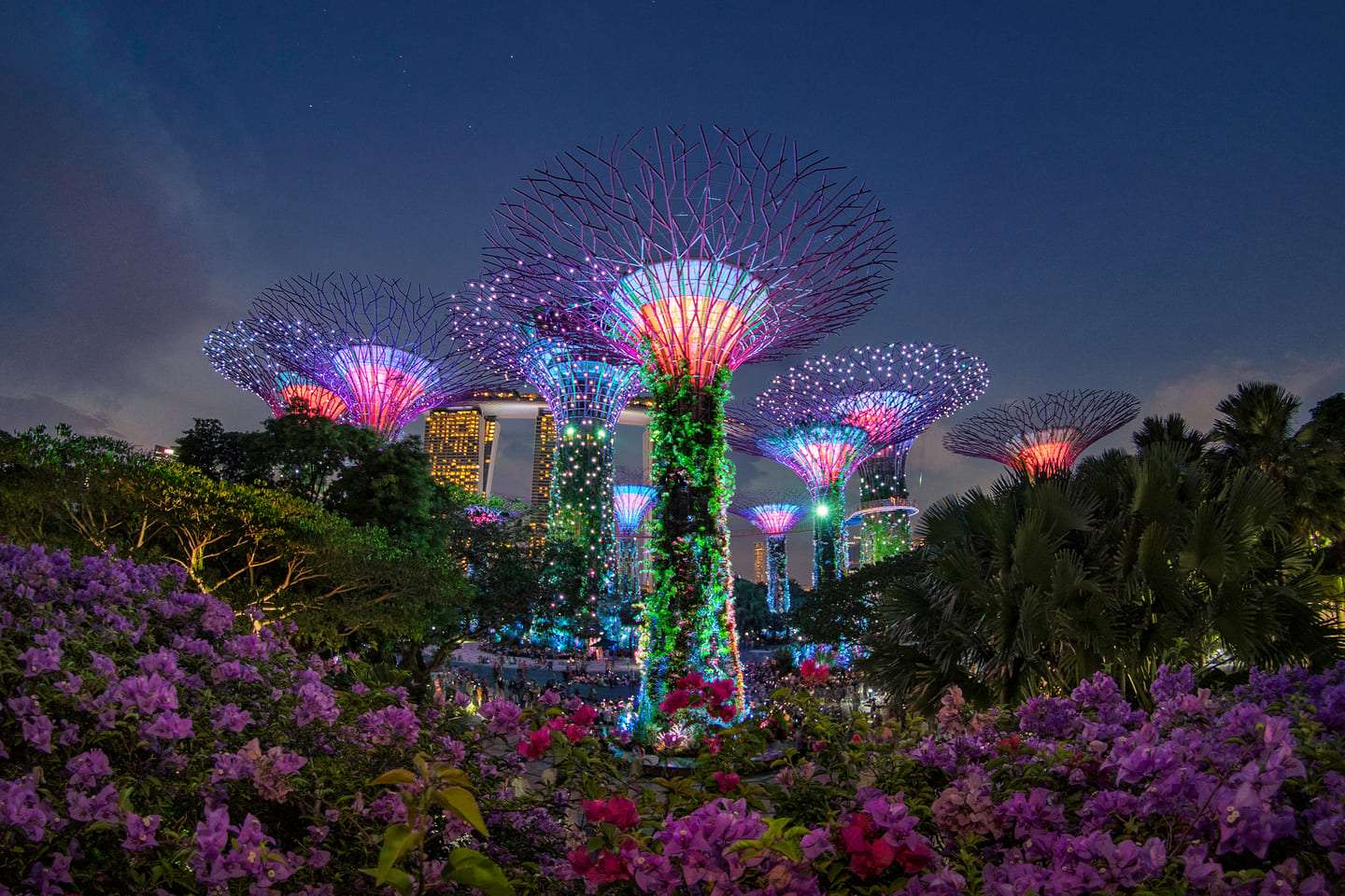 Bật mí kinh nghiệm và hướng dẫn đi Garden By The Bay