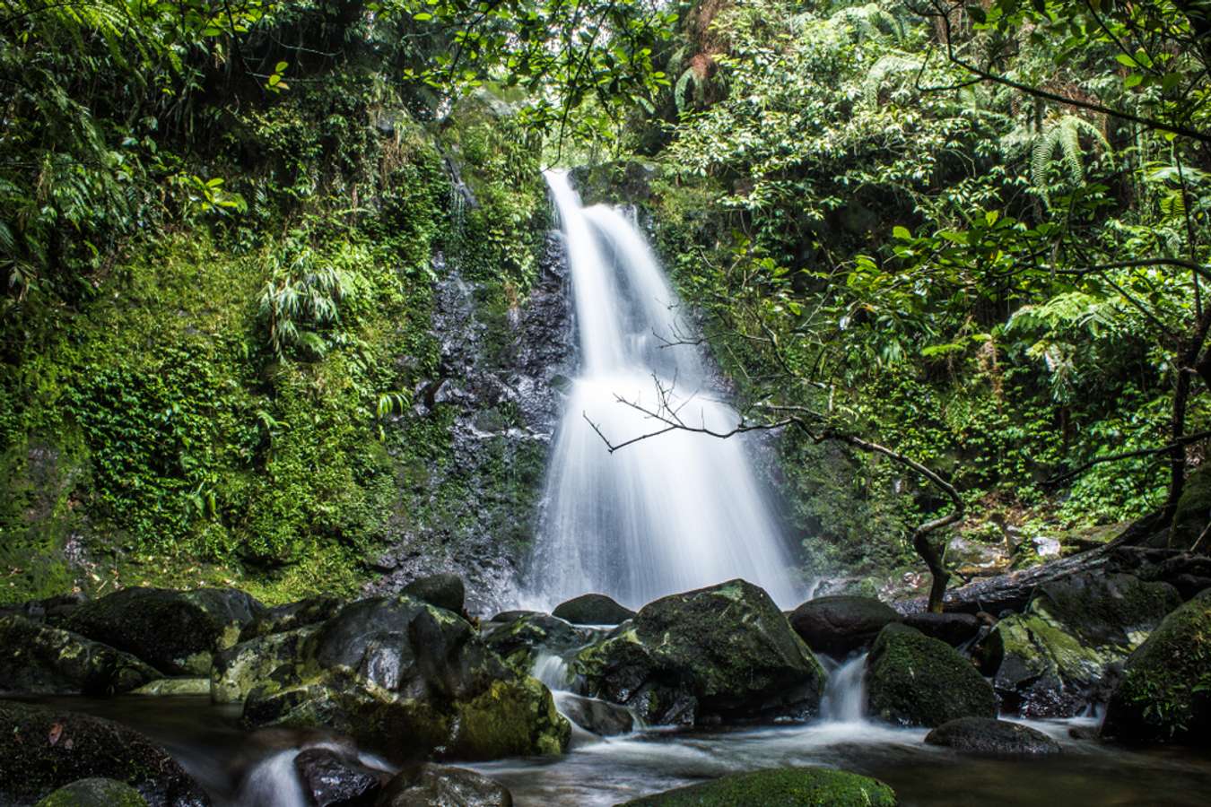 tour guide trekking sentul