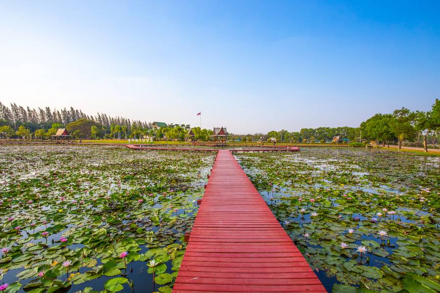 อุทยานบัวเฉลิมพระเกียรติ
