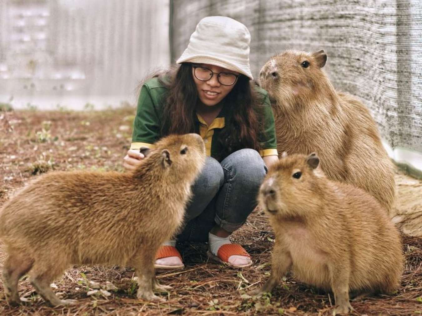 địa điểm du lịch Đà Lạt zoo doo đà lạt 