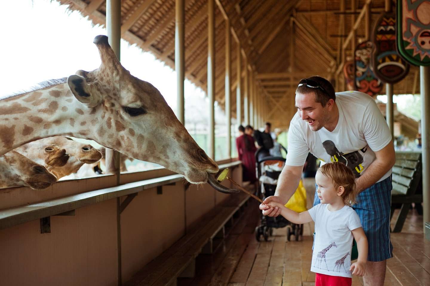 Review vườn thú Safari World Thái Lan chi tiết từ A đến Z
