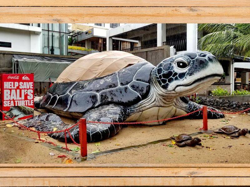 trải nghiệm đặc biệt chỉ có ở bali
