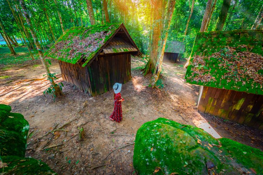 อุทยานแห่งชาติภูหินร่องกล้า