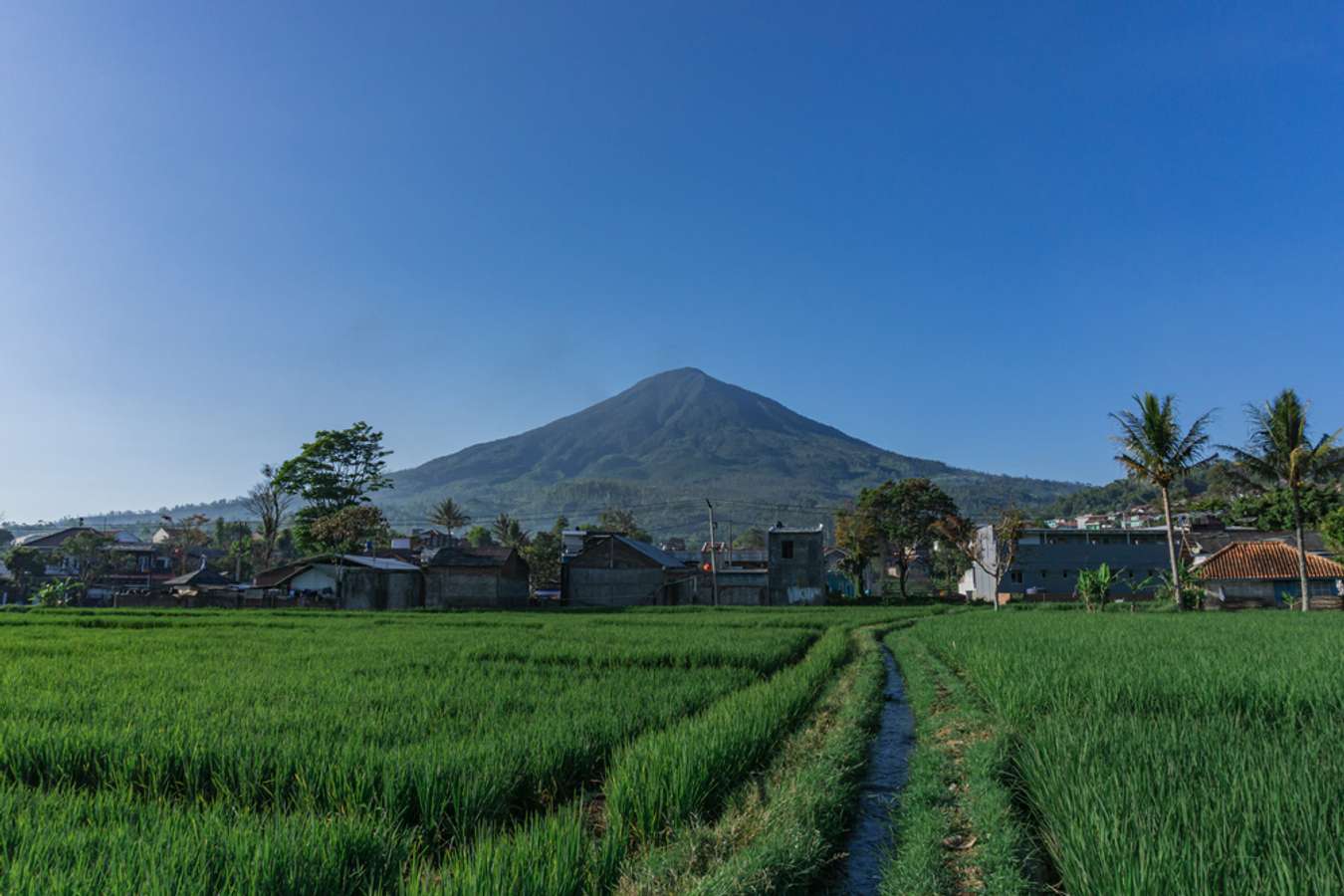 Daftar Gunung Tertinggi di Jawa Barat - Gunung Cikuray