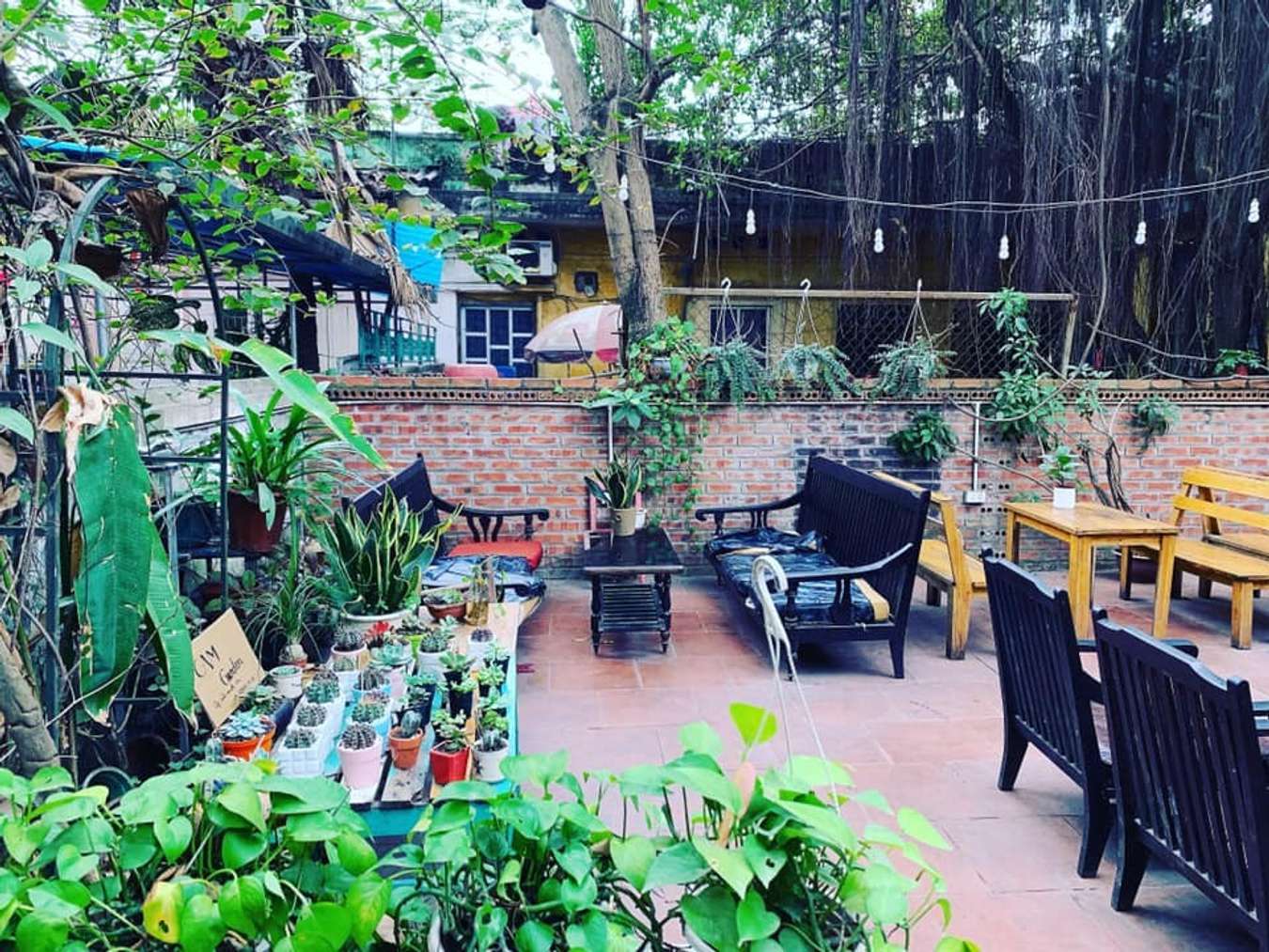 cafe sách Hà Nội