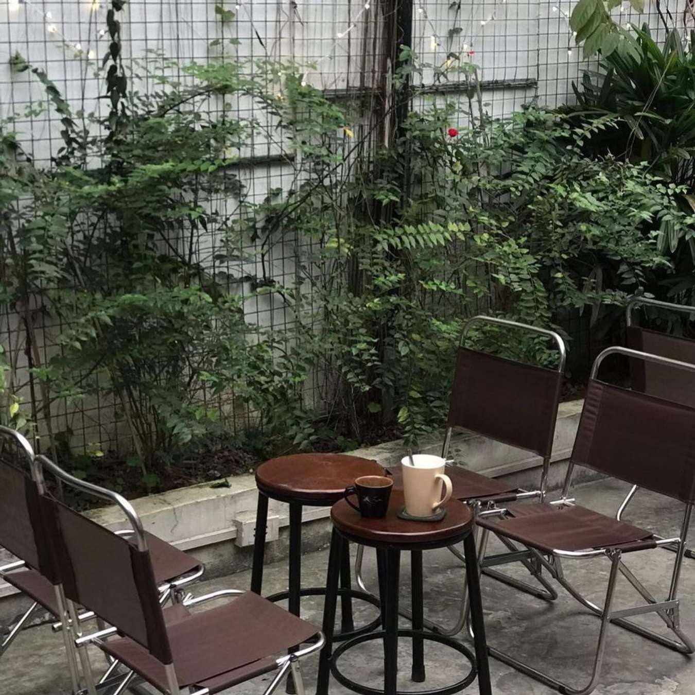 Thư thả với 9 quán cafe sân vườn Hà Nội lung linh ngày nắng đẹp