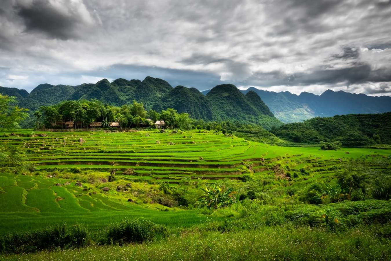 Đặc sản Thanh Hóa là điều không thể bỏ qua khi đến với tỉnh này. Chúng ta có thể tìm thấy nhiều loại đặc sản đậm đà hương vị như nem chua, mắm tôm, bánh gai, vang Hoành Bồ, v.v. Để được thưởng thức các món ăn này và khiến bạn ngập tràn cảm hứng, hãy xem những hình ảnh đầy màu sắc của Thanh Hóa.