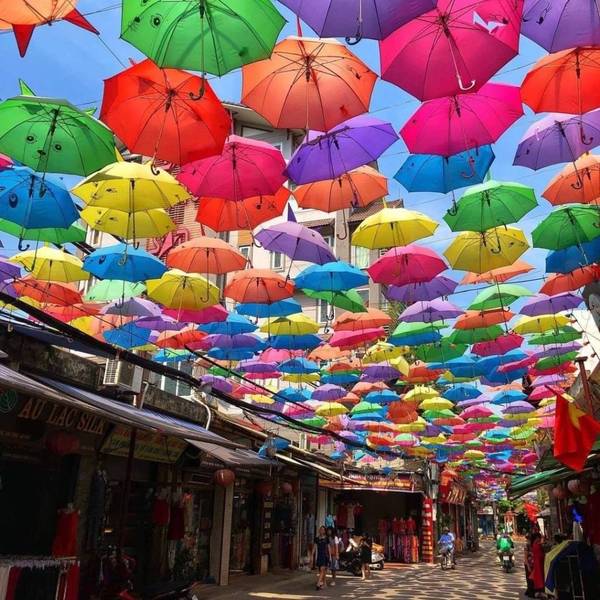 Con Đường Ô Làng Vạn Phúc