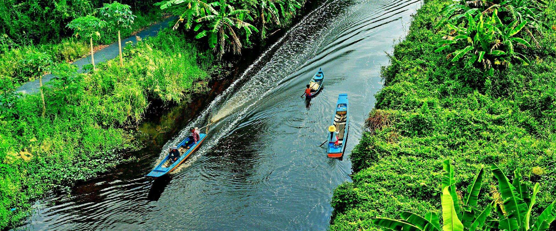 Những điều thú vị cần biết khi khám phá rừng U Minh