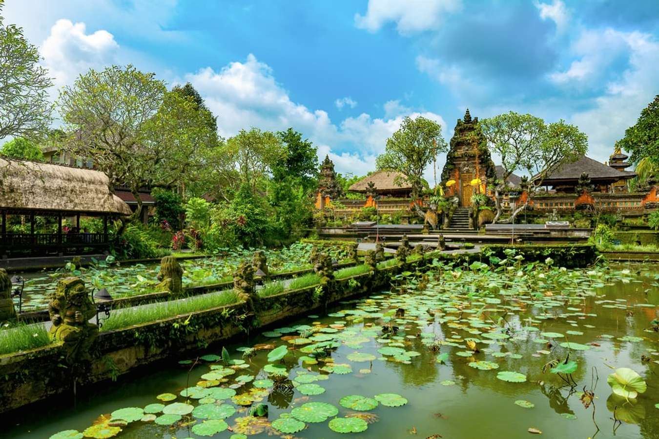 Kinh nghiệm du lịch Ubud – Bali từ A đến Z