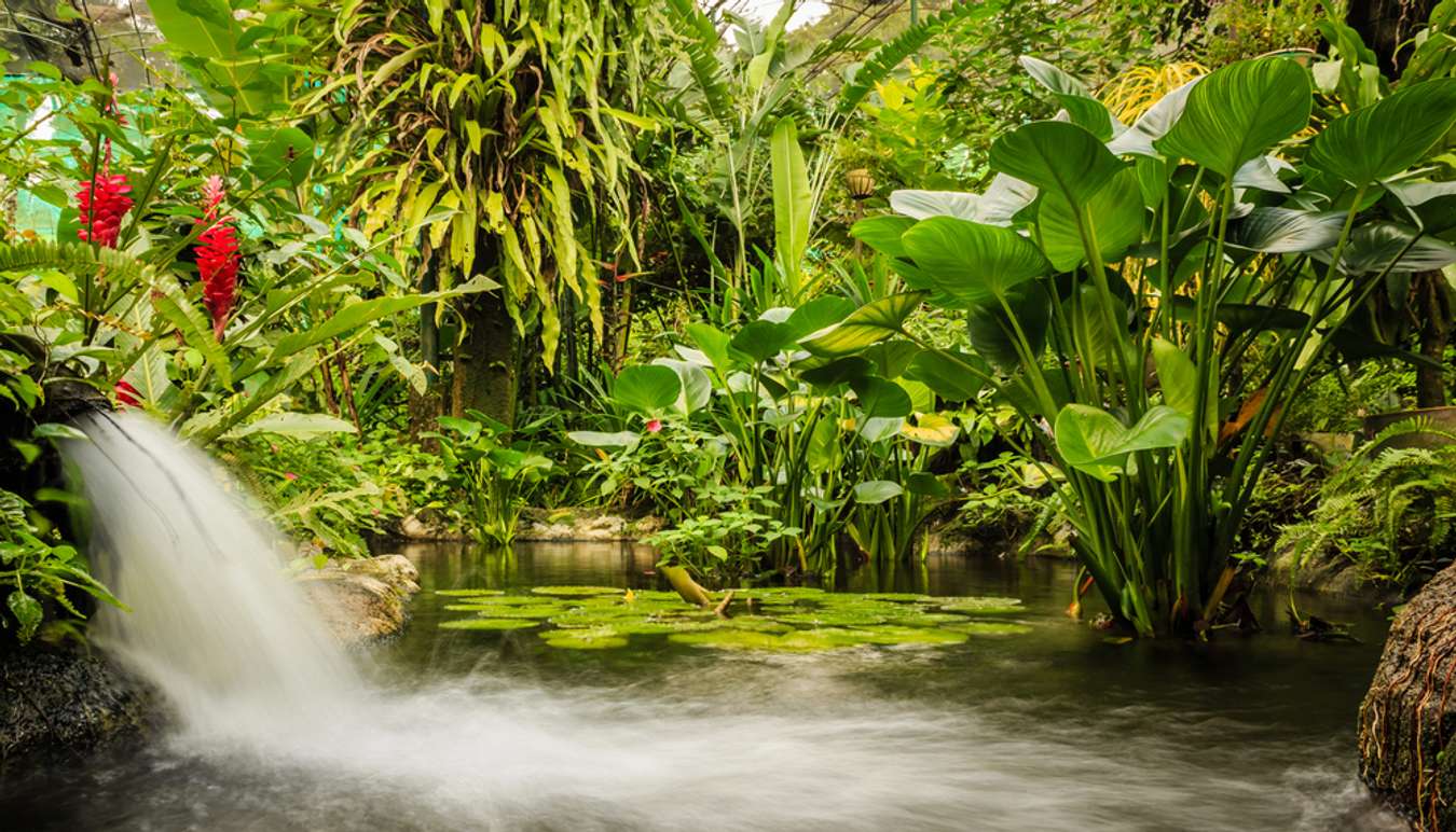 12 Date Ideas In KL Unique Places and Romantic For Couples