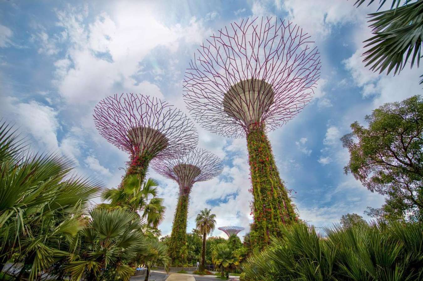 Gardens by The Bay - Family Activities Singapore