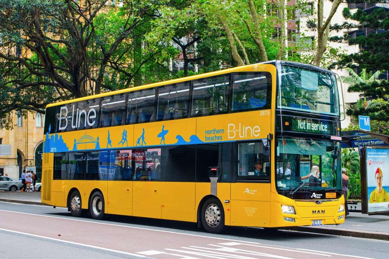 sydney bus