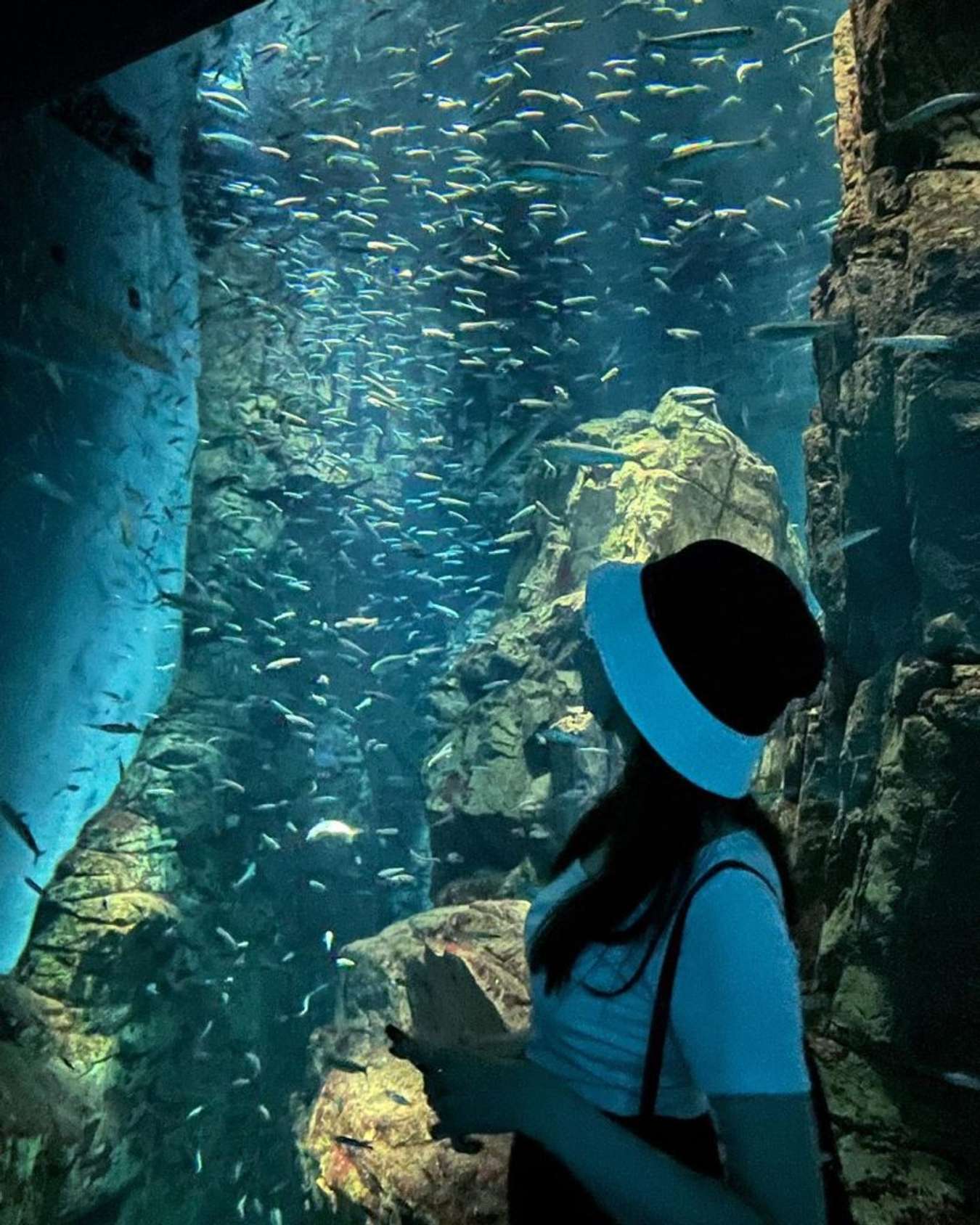 Osaka Aquarium Kaiyukan - Things to do in Osaka
