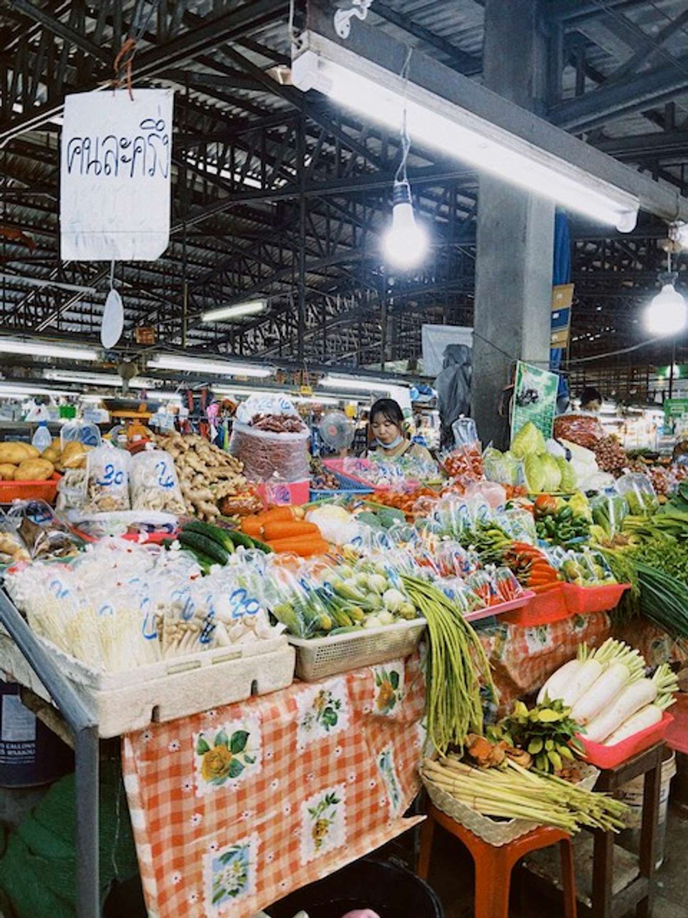 chơi gì ở Chiang Mai