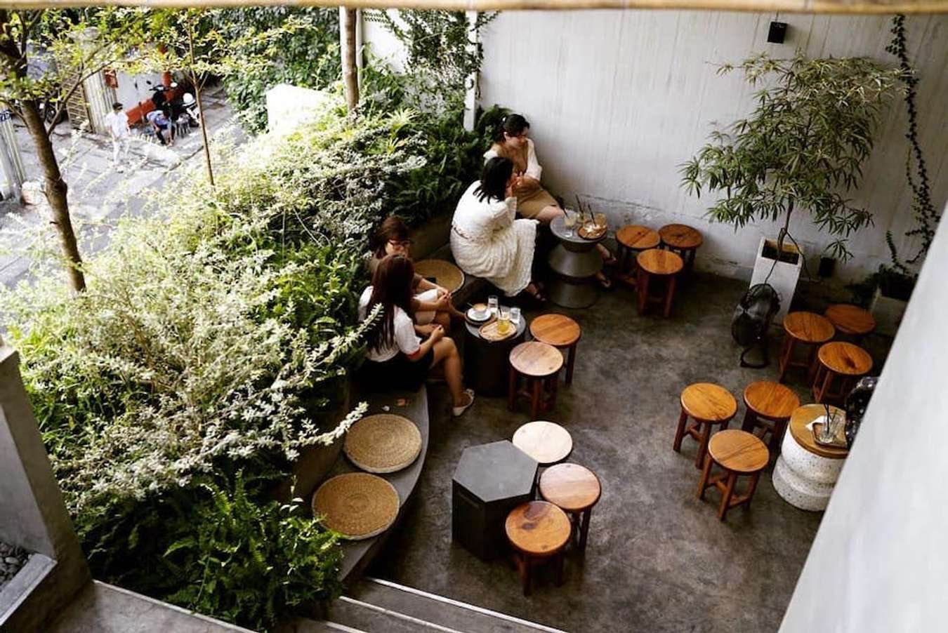 10 quán cafe nhiều cây xanh TPHCM cực đẹp và yên bình