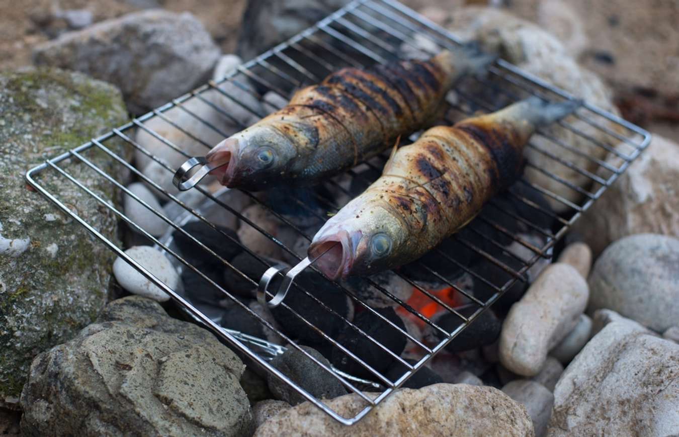 Cá suối nướng