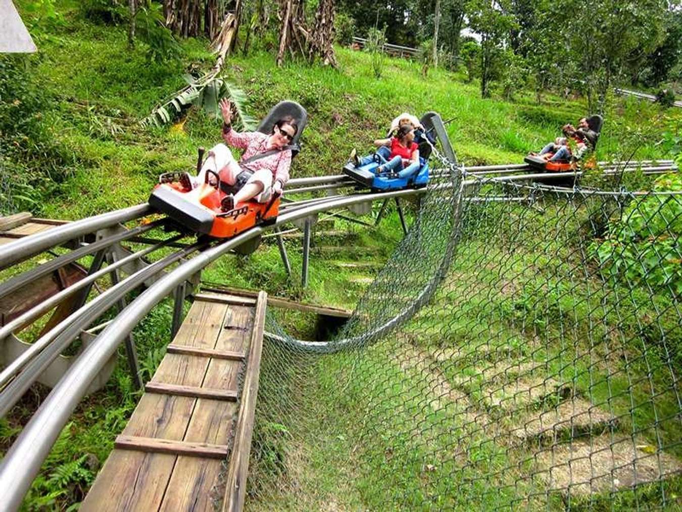 Đi xe trượt Alpine Coaster