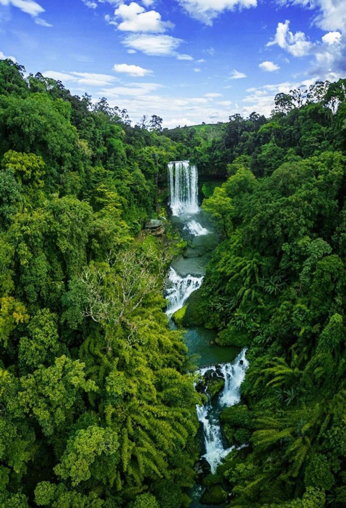 Đambri nhìn từ trên cao