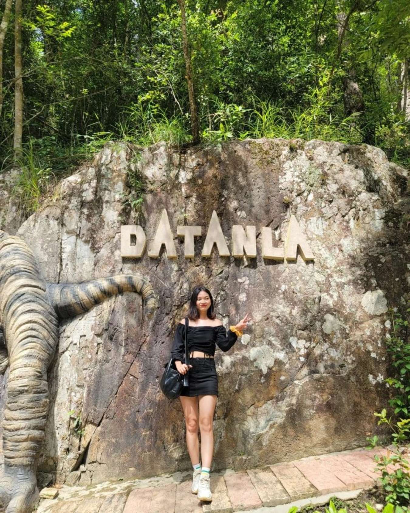Check-in Datanla
