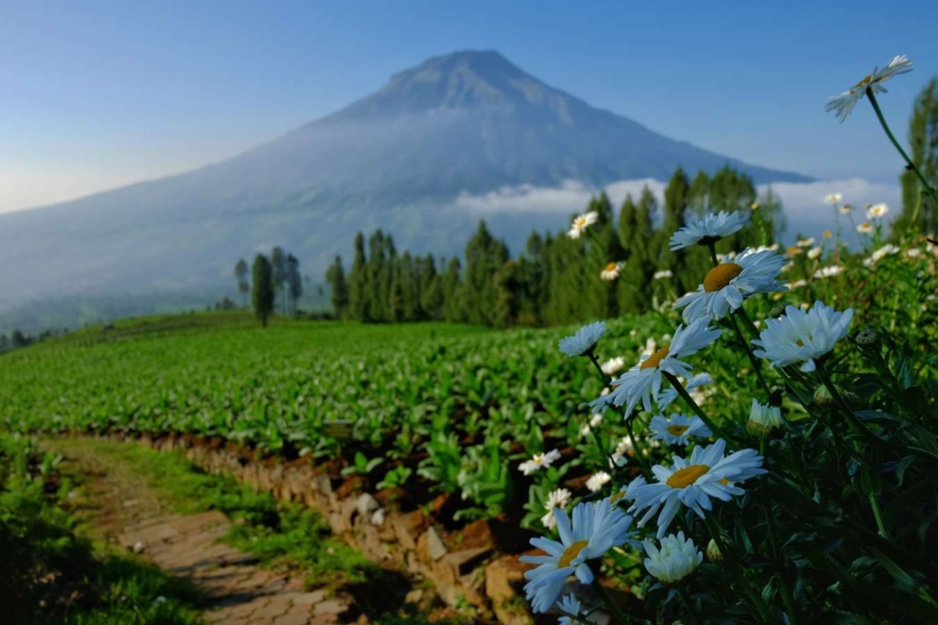 Lembah Sindoro - Wisata Alam Jawa Tengah - Shutterstock