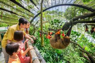 Aktivitas Seru & Info Harga Tiket Singapore Zoo 2024, Xperience Team