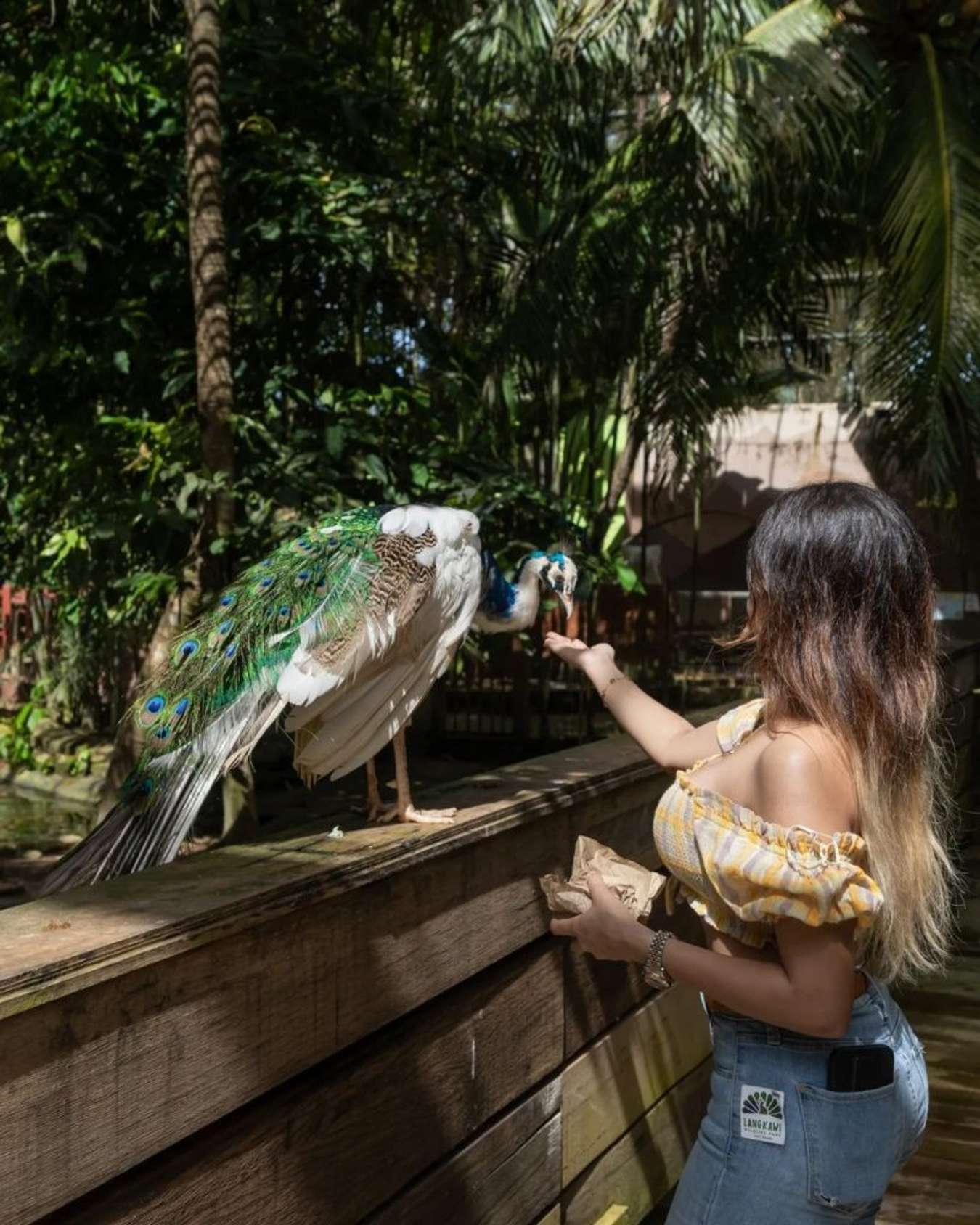 Sở thú Langkawi Wildlife Park