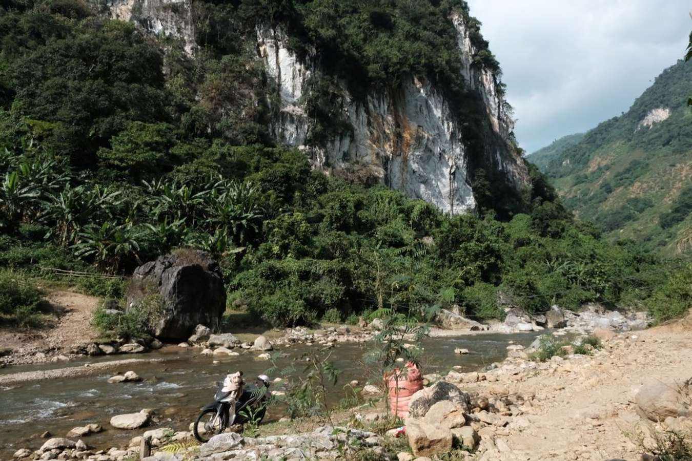 Moc Chau Summer