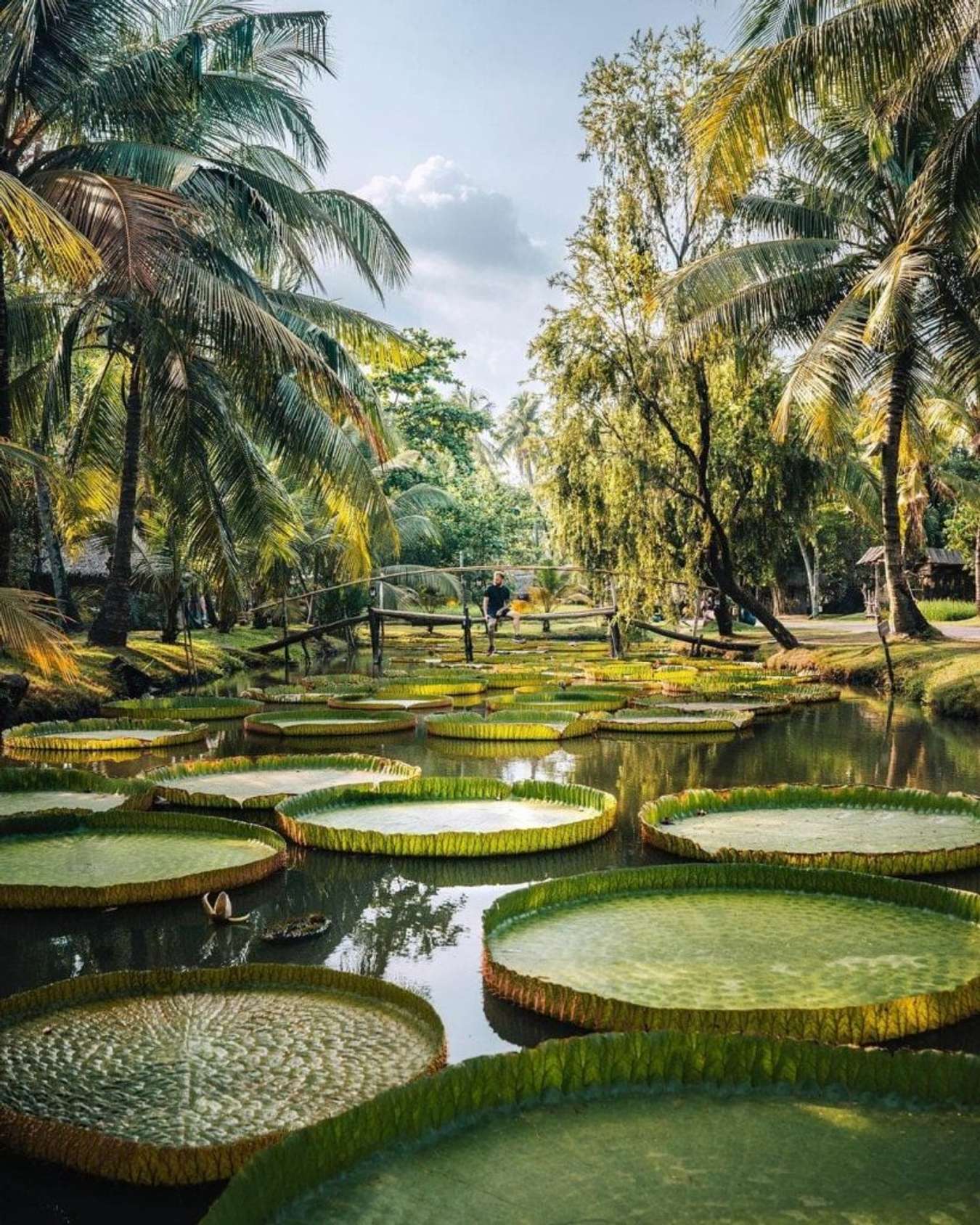 Địa điểm đi chơi ở TPHCM 14