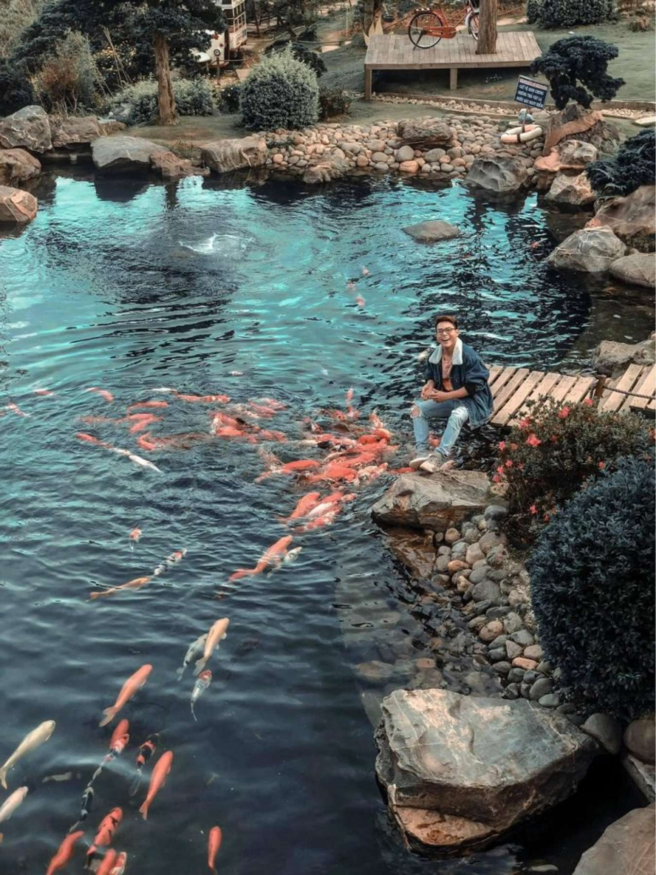 Koi pond in the maple leaf forest