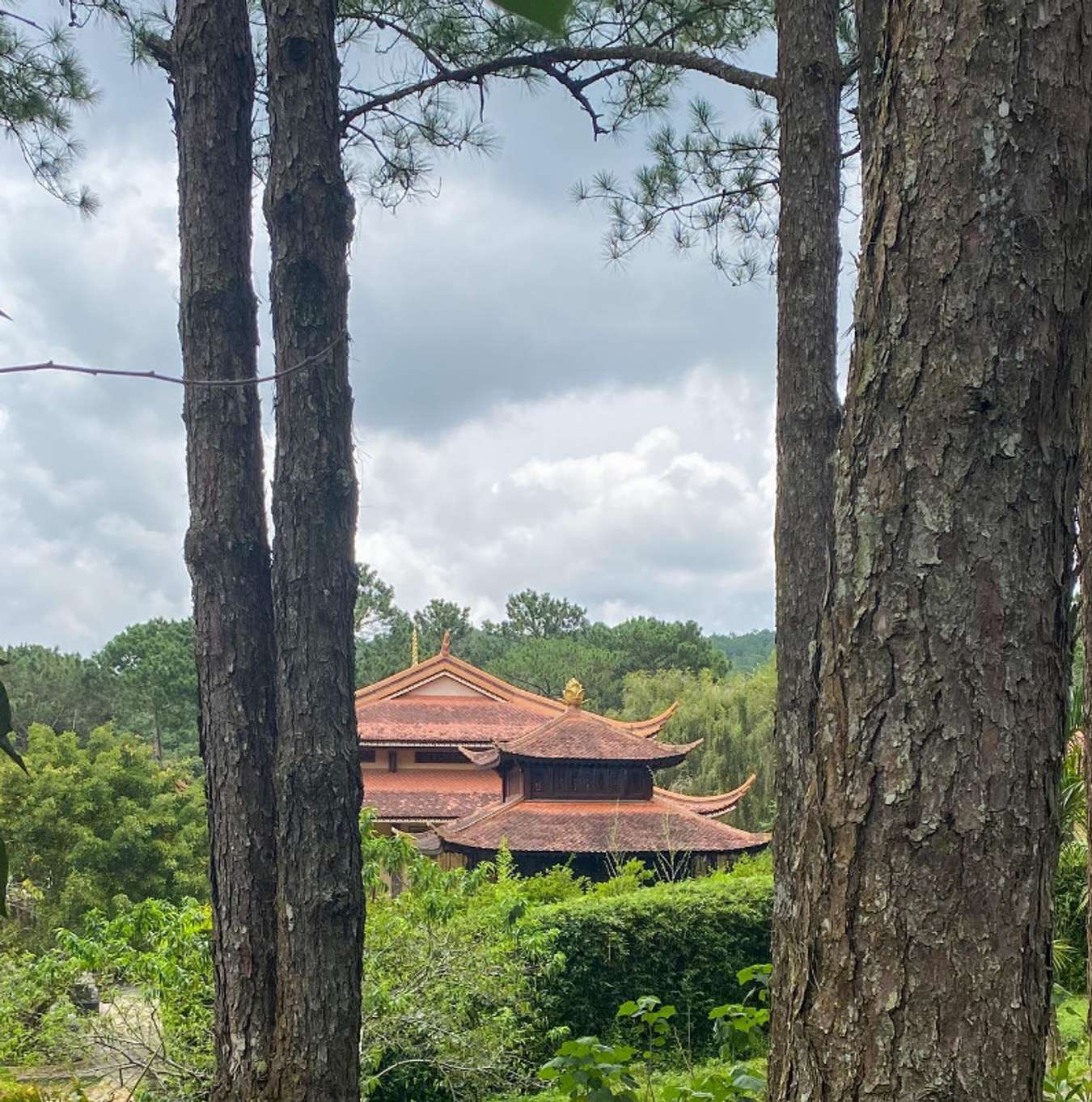 Truc Lam Zen Monastery Dalat