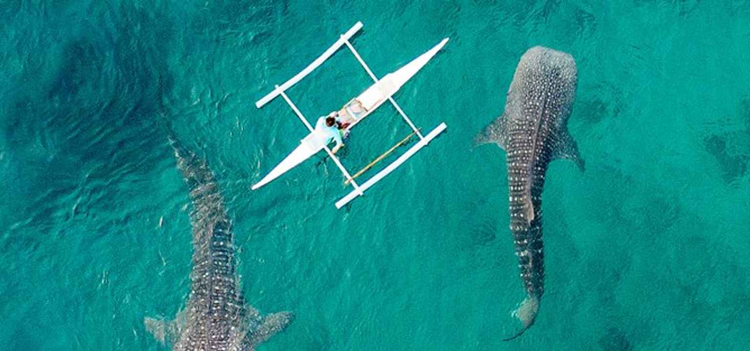7 Tempat Wisata di Cebu, Si Ratu dari Selatan yang Memukau