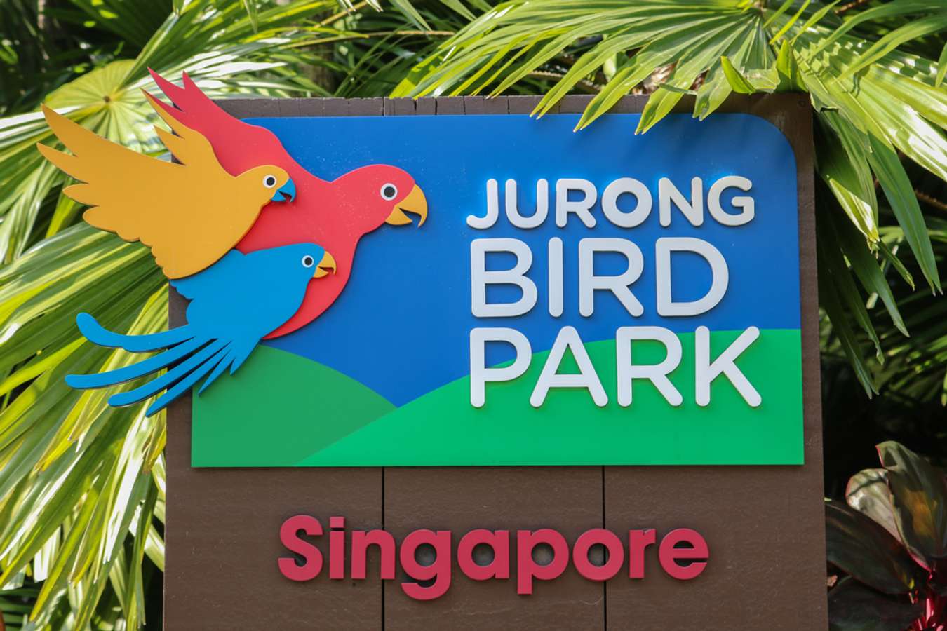 Jurong Bird Park - Things to do in Jurong