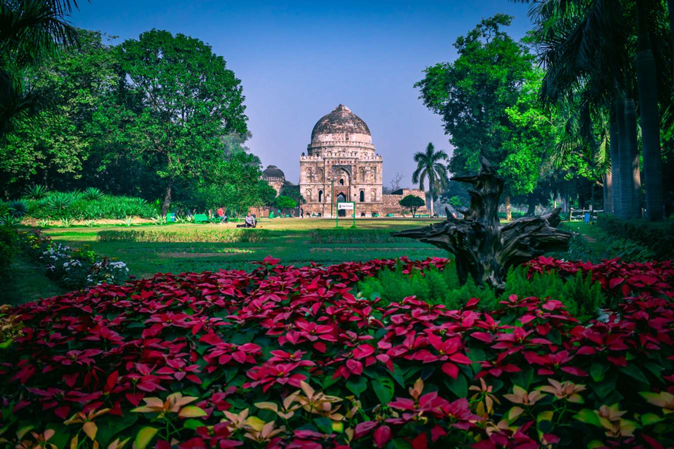 Lodhi Gardens