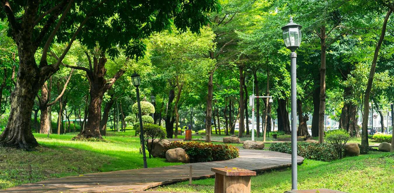 Khám phá công viên Hoàng Văn Thụ - ốc đảo xanh giữa lòng Sài Gòn