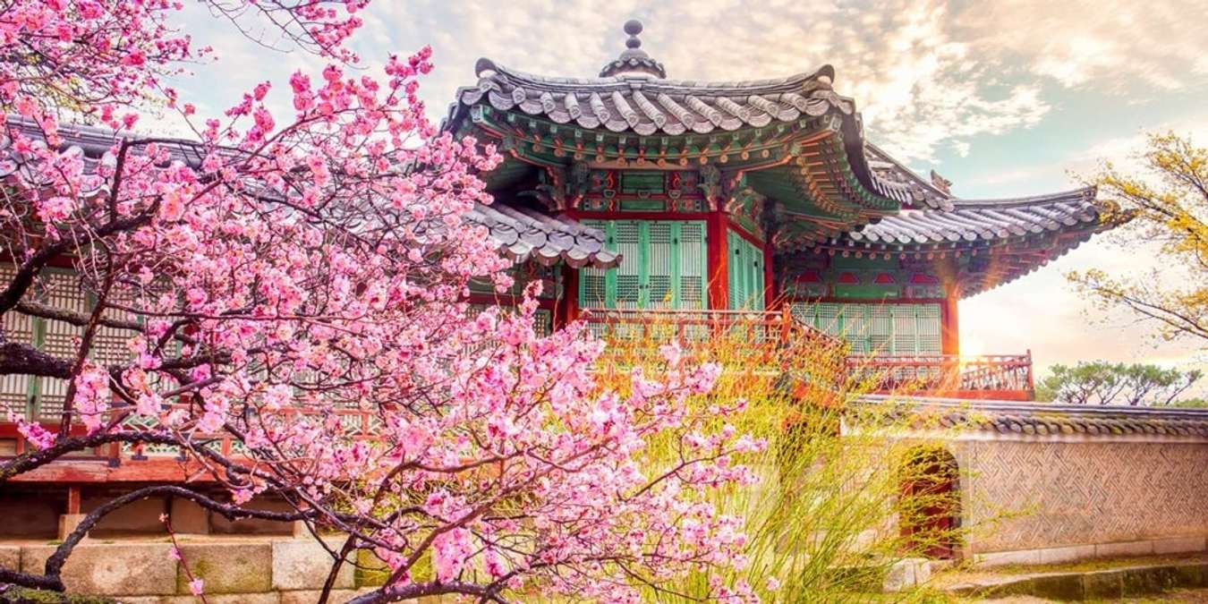 Changdeokgung mùa hoa đào nở