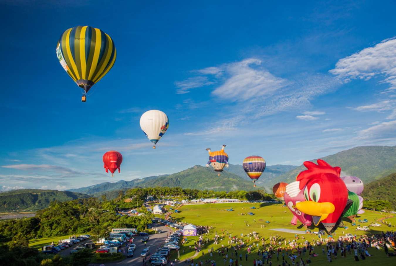 Một góc nhìn tại Lễ hội khinh khí cầu ở Cao Đài Dã Lộc 