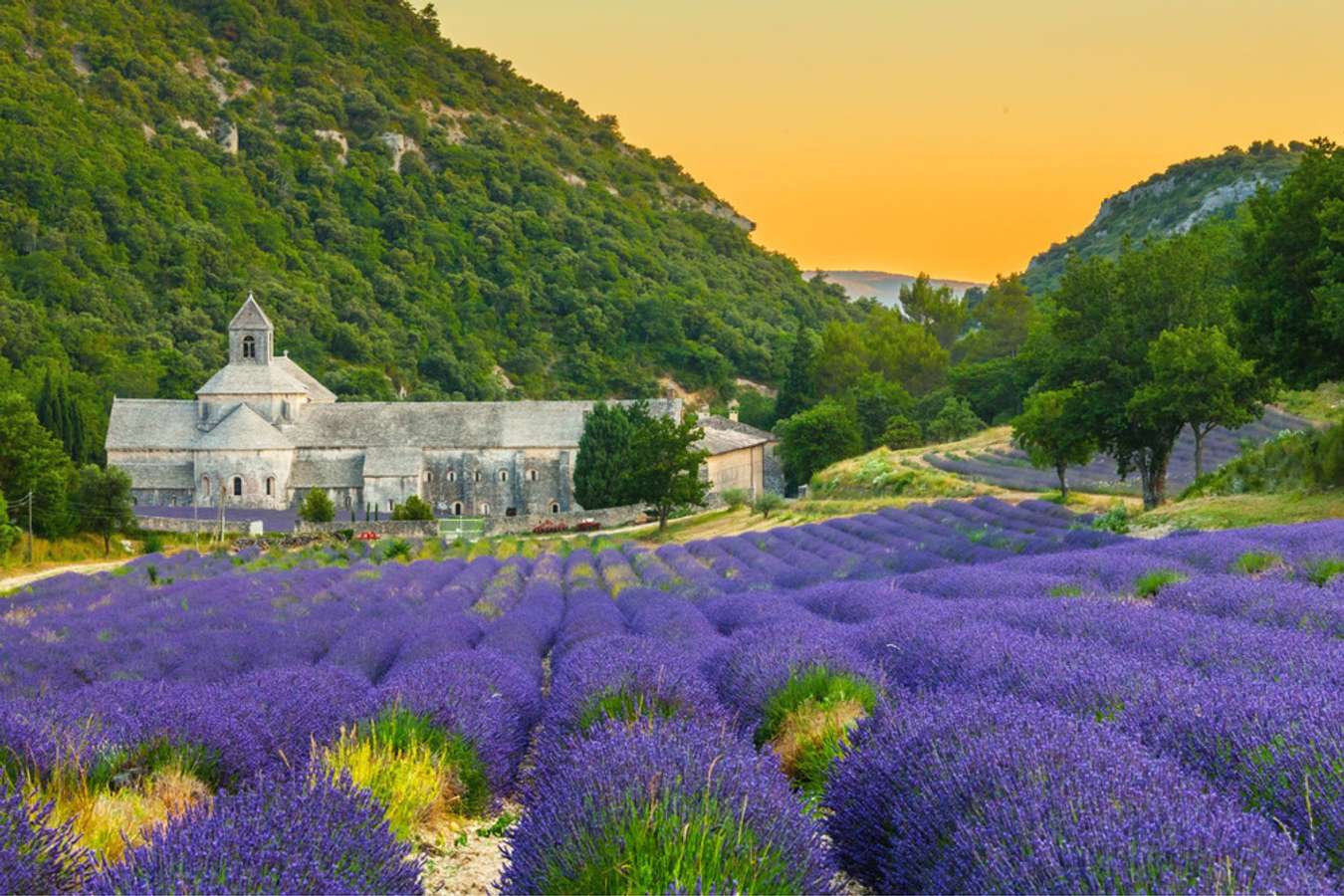 Du lịch Provence Thành phố mộng mơ trong lòng nước Pháp